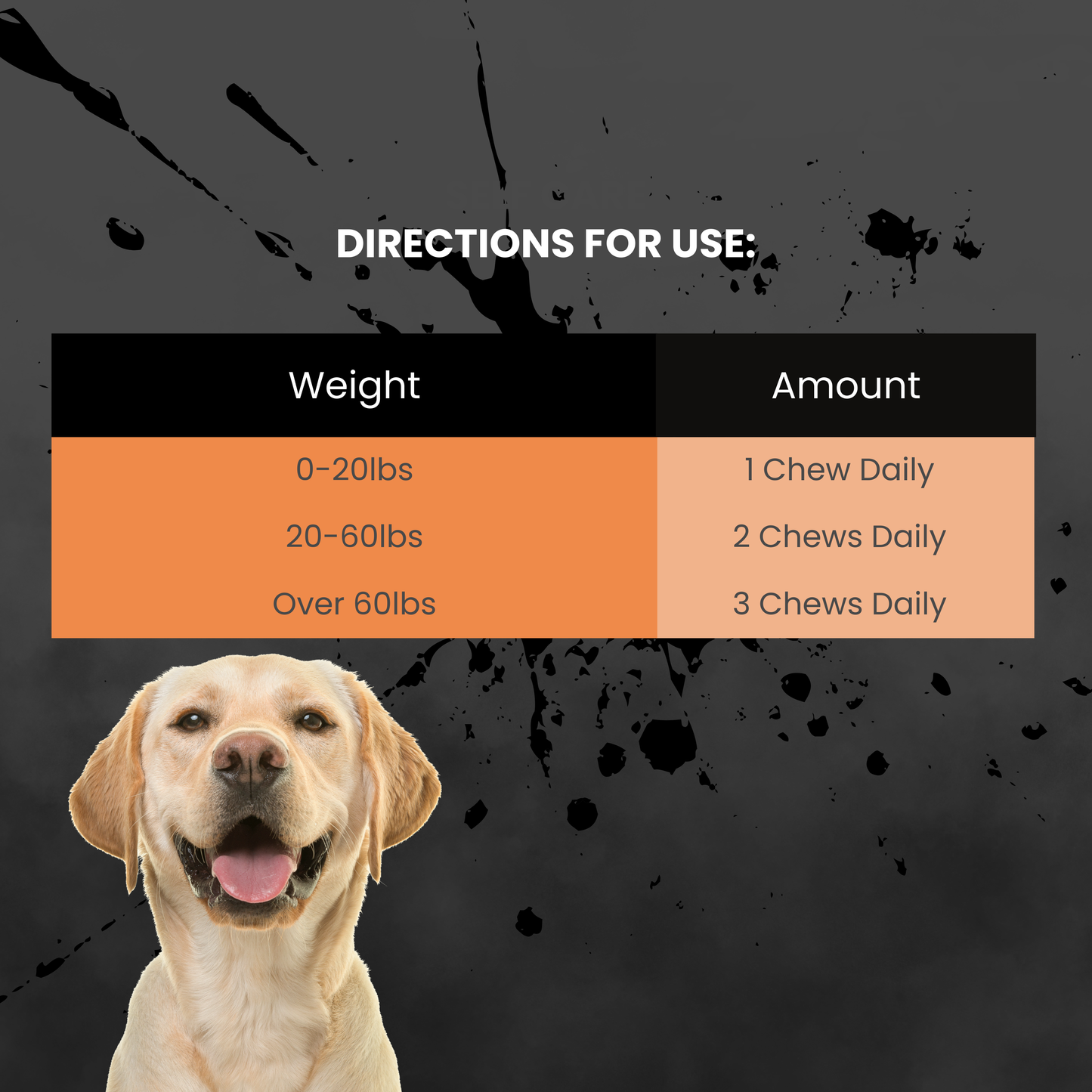 'Second Wind' HMB - Performance and Recovery for Dogs