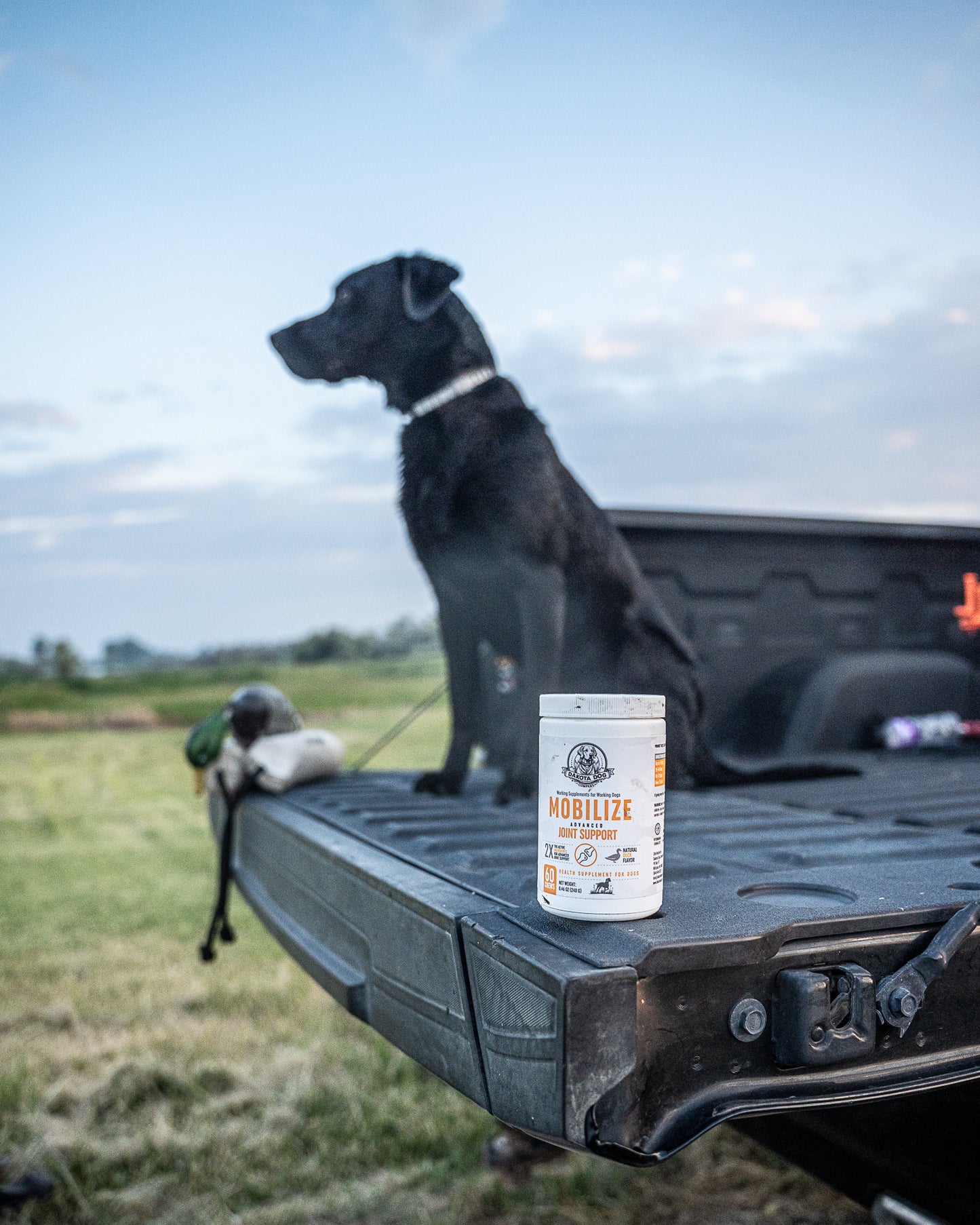 'Mobilize' Advanced Joint Supplement for Dogs