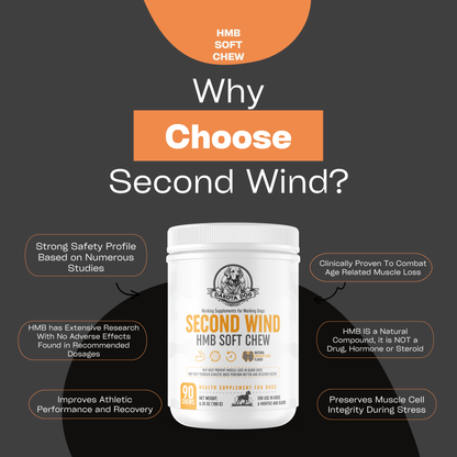 'Second Wind' HMB - Performance and Recovery for Dogs