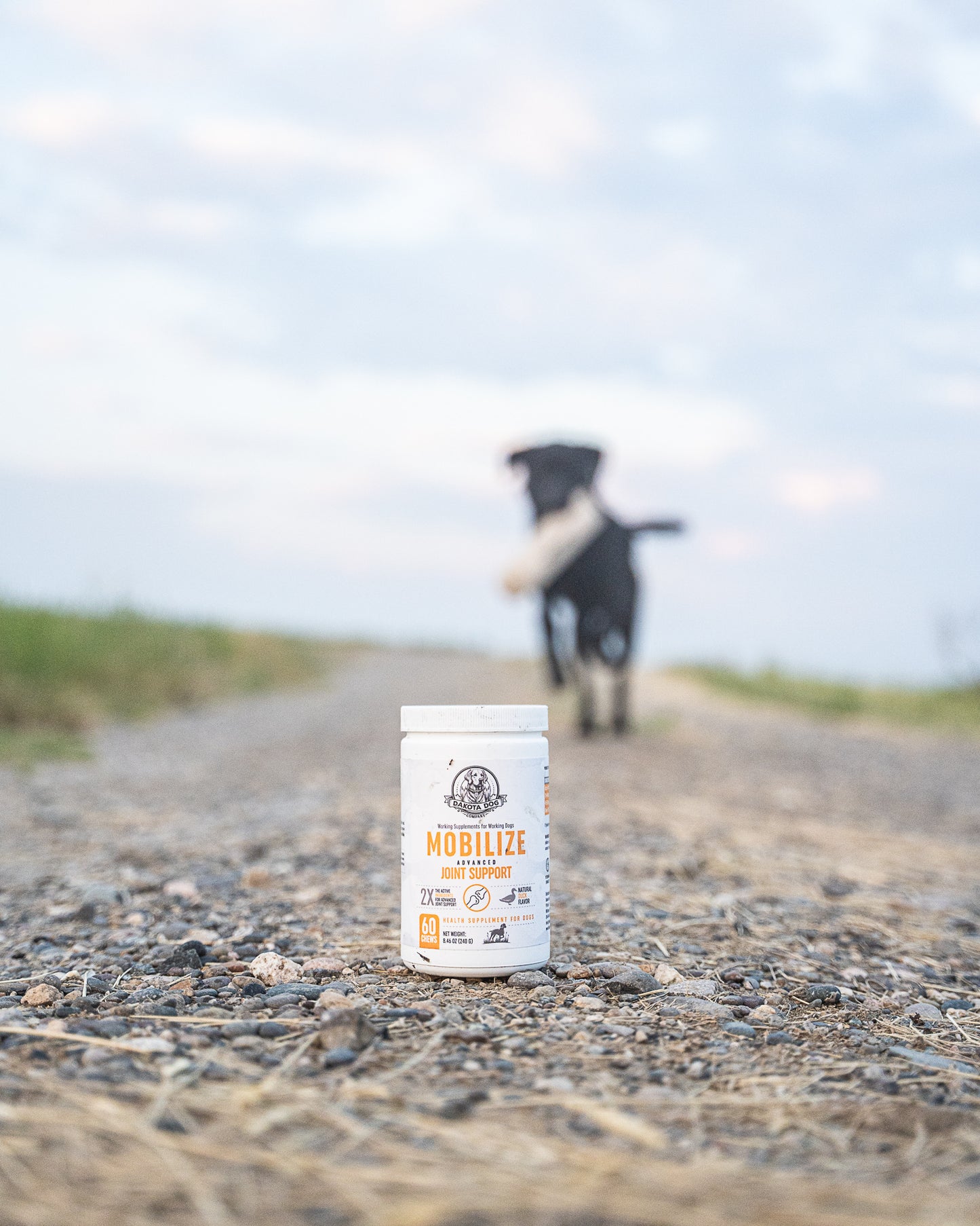 'Mobilize' Advanced Joint Supplement for Dogs